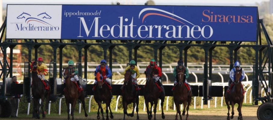 start at Mediterraneo racecourseSiracusa, 12th jan. 2008ph. Stefano Grasso