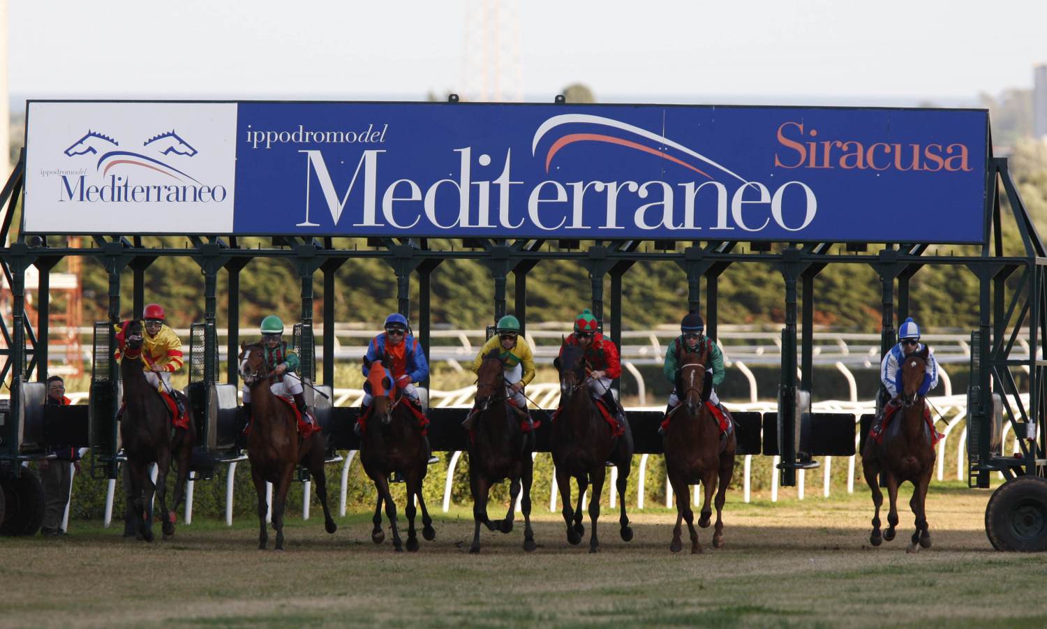 start at Mediterraneo racecourseSiracusa, 12th jan. 2008ph. Stefano Grasso